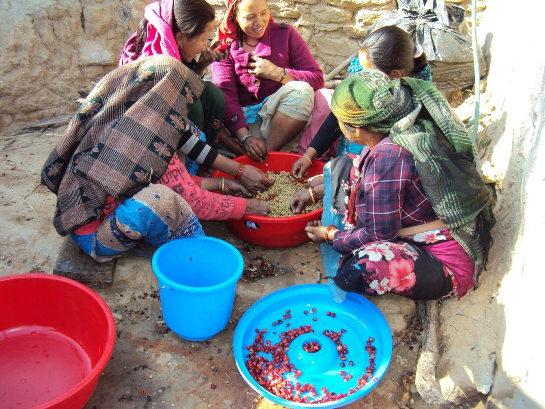 Himalayan Farming Community and Katmandu Coffee Harvest